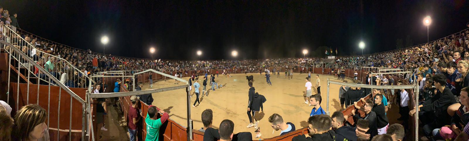 Lleno total para la suelta nocturna de vaquillas en la Plaza de Toros de Cabanillas