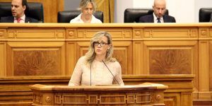 El PP insiste en que la solución para frenar la despoblación pasa por garantizar con una ley unos servicios de calidad para el mundo rural