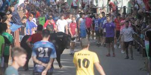 Encierro por la plaza y la calle Valdemoma, con dos novillos que dieron juego desigual en Cabanillas