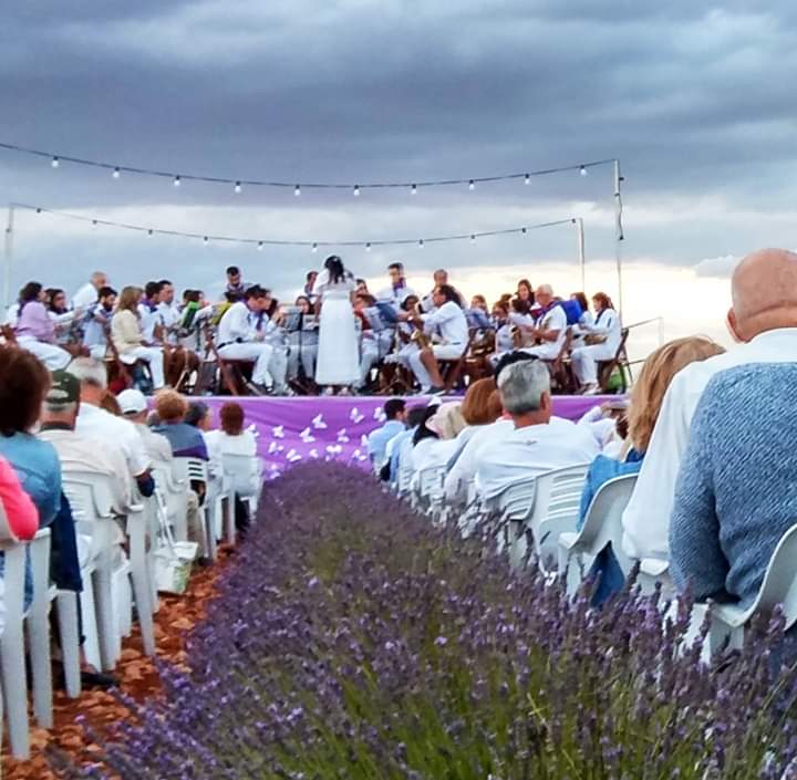La Banda de Música de Brihuega toca en un jardín de flores