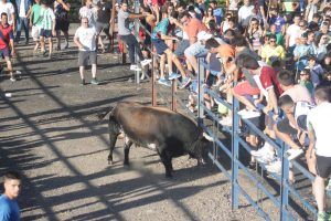 Encierro, caldereta, circo y fuegos artificiales para despedir las Fiestas 2019  de Cabanillas 