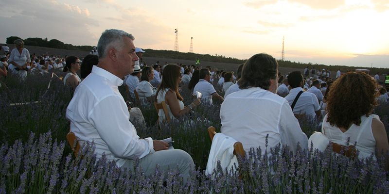 José Luis Vega “Brihuega y la lavanda han puesto a nuestra provincia en el escaparate del turismo internacional”