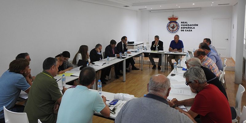 La RFEC y las FFAA siguen luchando por la defensa del silvestrismo