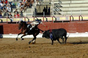 Cinco orejas y dos rabos en el festejo de rejones de Sigüenza