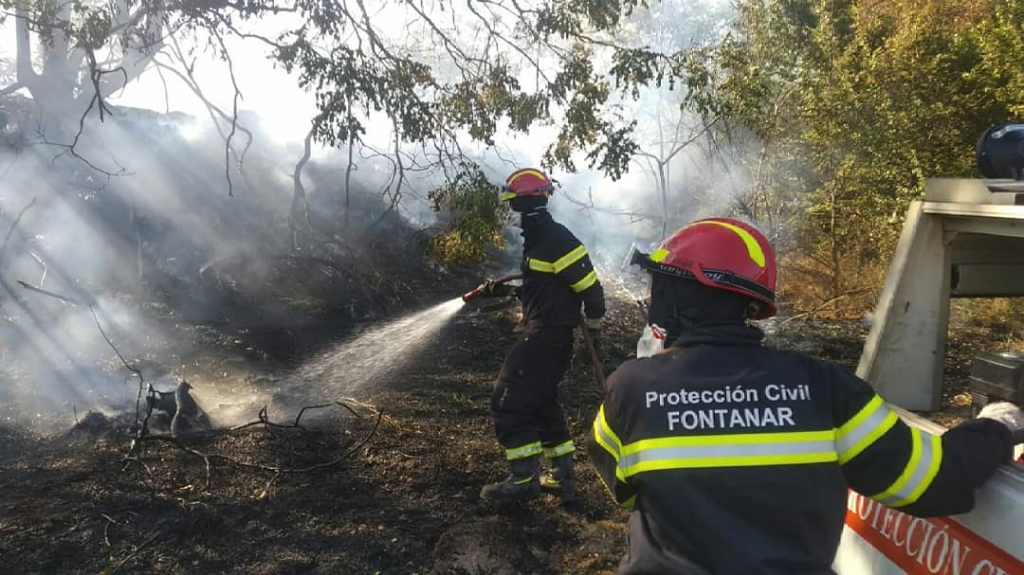 Controlado el incendio en Brihuega aunque aún luchan contra el fuego 10 medios y 42 personas