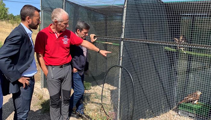 La Junta respalda la recuperación de aves rapaces en la región 1 La Junta respalda la recuperación de aves rapaces en la región