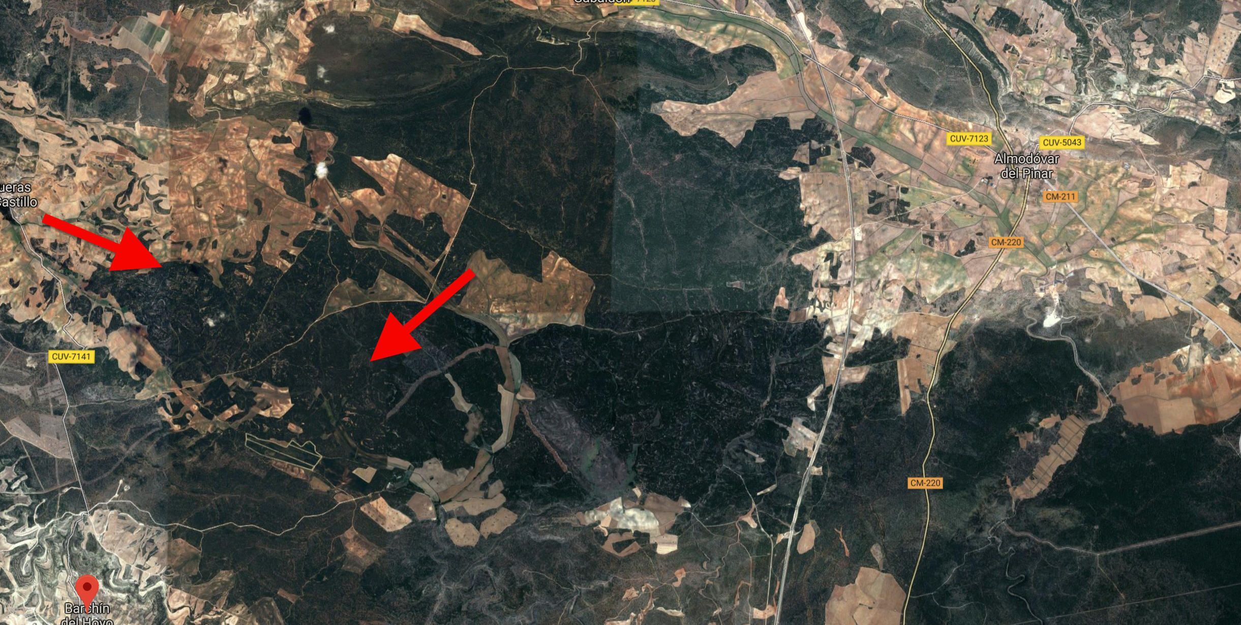 El Ministerio de Agricultura invertirá 400.000 euros para reforestar las zonas afectadas por el incendio de Barchín del Hoyo