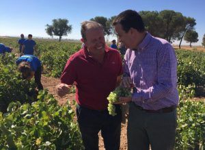 Martínez Arroyo prevé una vendimia de entre 20 y 23 millones de hectolitros en Castilla-La Mancha con una uva de mayor grado alcohólico