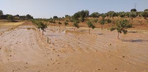 Tarancón, Belinchón y El Picazo centran el trabajo de los bomberos de la Diputación de Cuenca por el temporal 2 Tarancón, Belinchón y El Picazo centran el trabajo de los bomberos de la Diputación de Cuenca por el temporal
