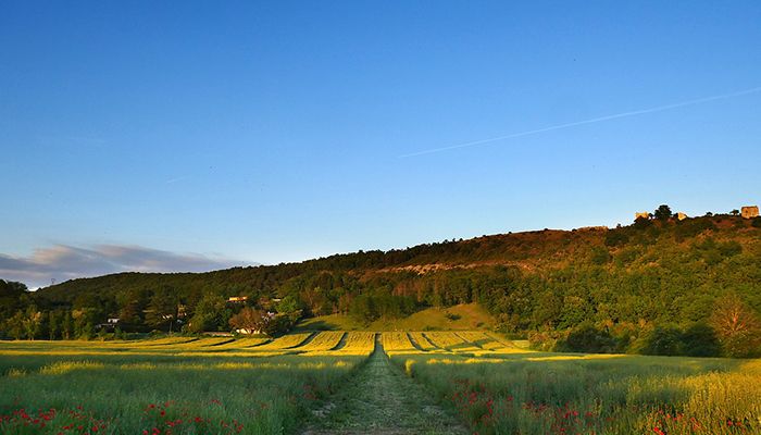 Unión de Uniones denuncia la falta de apoyo público a los agricultores y ganaderos en Red Natura 2000
