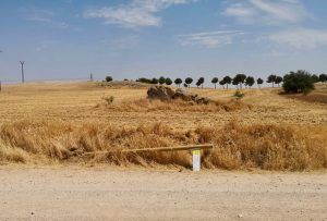 vandalismotaranconcamina