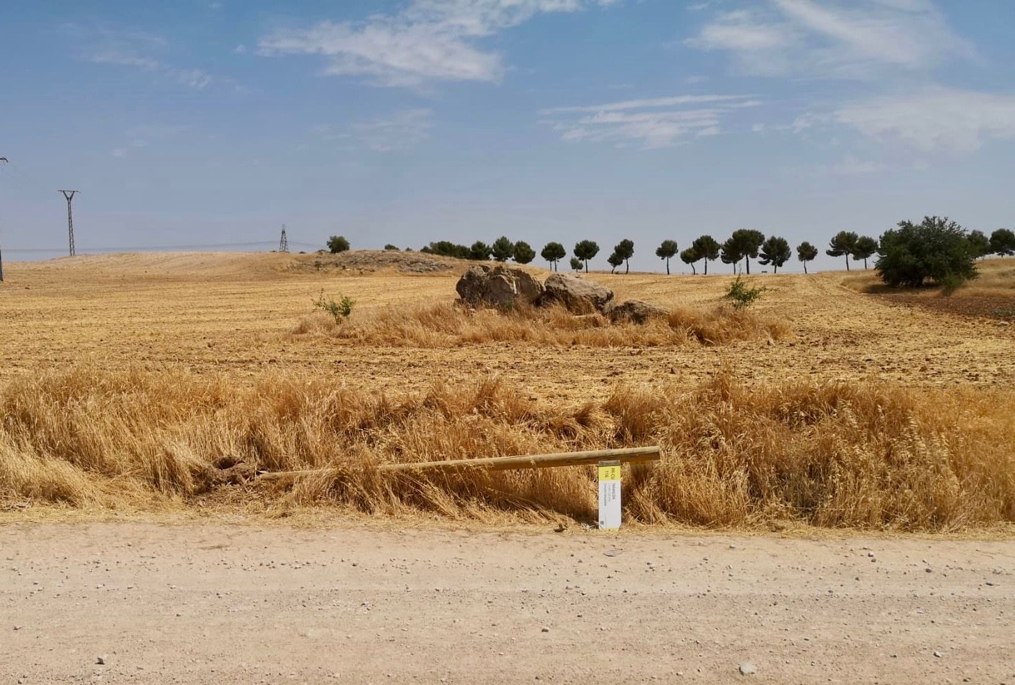 El circuito saludable ‘Tarancón Camina’, protagonista de varios actos vandálicos