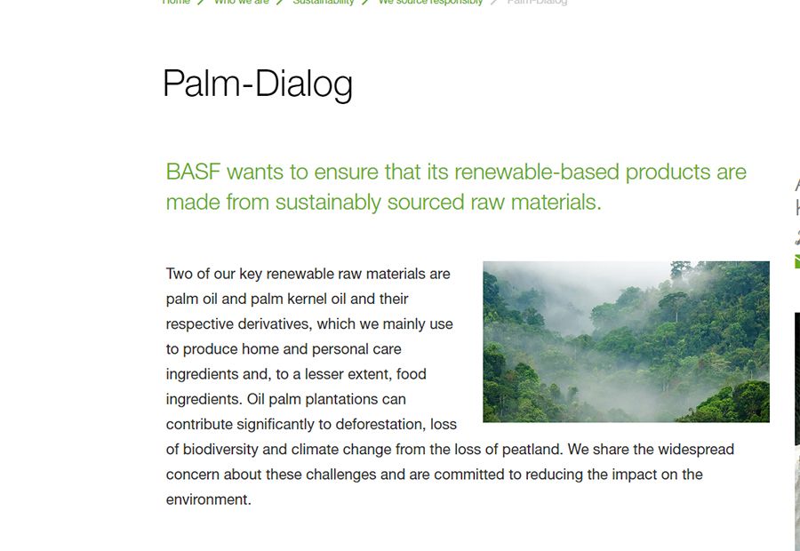 BASF publica el 3er Informe de Progreso sobre la Palma