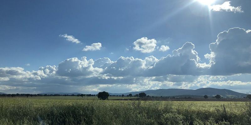 Castilla-La Mancha abona este viernes más de cinco millones de ayudas de la PAC correspondientes al pago básico, pago verde y de jóvenes agricultores