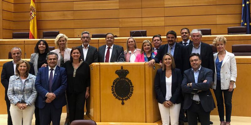 Constituido en el Senado el Grupo Territorial “Socialistas de Castilla La-Mancha”