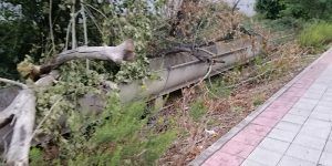 IU Azuqueca alerta del mal estado en el que se encuentran los accesos al municipio