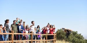 El Gobierno de Castilla-La Mancha muestra su apoyo a la recuperación de fauna silvestre en la región