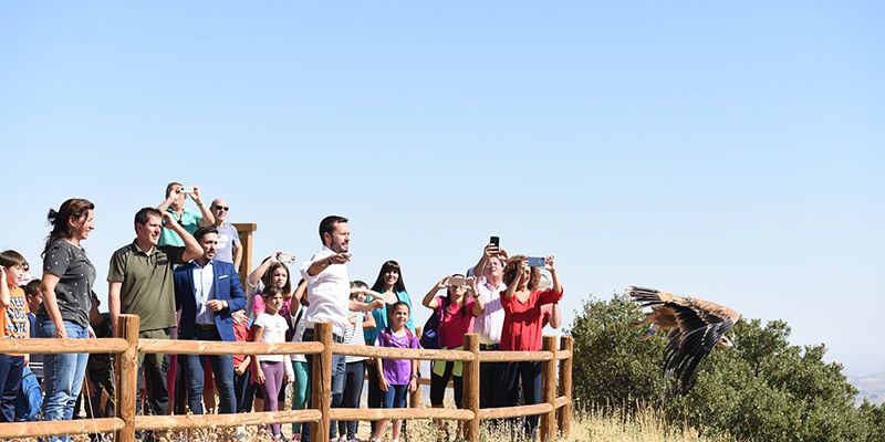 El Gobierno de Castilla-La Mancha muestra su apoyo a la recuperación de fauna silvestre en la región
