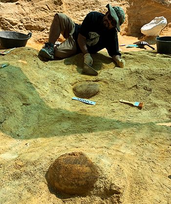 En busca del origen de las faunas del Cretácico Superior en Guadalajara, cuando era costa tropical