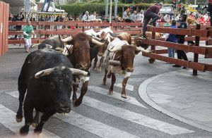El segundo encierro de las Ferias de Guadalajara transcurre sin incidencias de gravedad