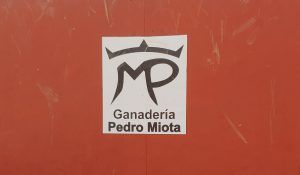logo ganbaderia