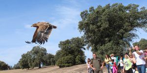 Los escolares castellano-manchegos aprenden cómo se recupera la fauna silvestre de la región