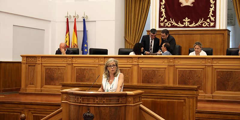 Merino lamenta que el PSOE deje en la estacada a los afectados por el temporal de la pasada semana y seguirá reclamando ayudas para agricultores y particulares