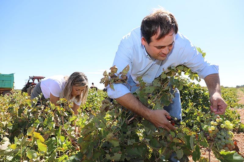 Paco Núñez traslada al sector vitivinícola de Castilla-La Mancha el apoyo decidido del PP-CLM en plena campaña de vendimia 3 Paco Núñez traslada al sector vitivinícola de Castilla-La Mancha el apoyo decidido del PP-CLM en plena campaña de vendimia