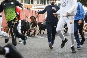 Rojo solicitará que los encierros de Guadalajara  sean declarados Fiesta de Interés Turístico Regional