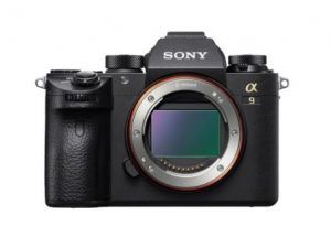 Sony lanza una actualización de firmware para la α9 que añade Eye AF en tiempo real para animales y funcionalidad de fotografía a intervalos