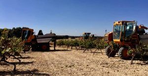 ASAJA CLM valora que los agricultores y ganaderos de la región sean de los primeros en cobrar el adelanto de la PAC