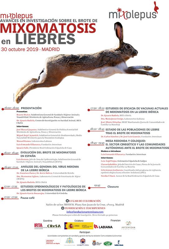 La RFEC vuelve a suspender la caza de la liebre en todos sus campeonatos por un repunte de la mixomatosis