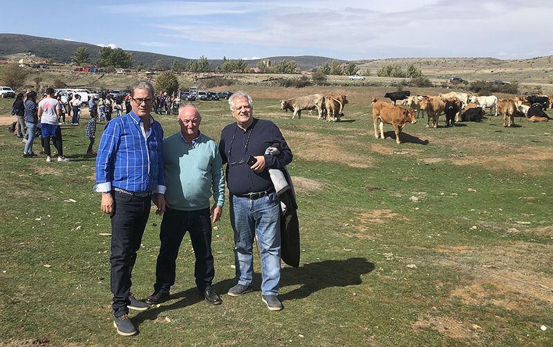 Castilla-La Mancha inicia mañana el pago de más de 32 millones de euros de la PAC del pago básico, verde y régimen de jóvenes agricultores de Guadalajara