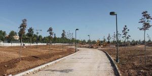 Culmina la plantación de más de 840 árboles y arbustos en el futuro Parque “Elena de la Cruz”