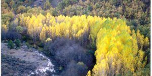 El alcalde de Brihuega y su concejal de Medioambiente tratan con el director del Agua el proyecto de la depuradora