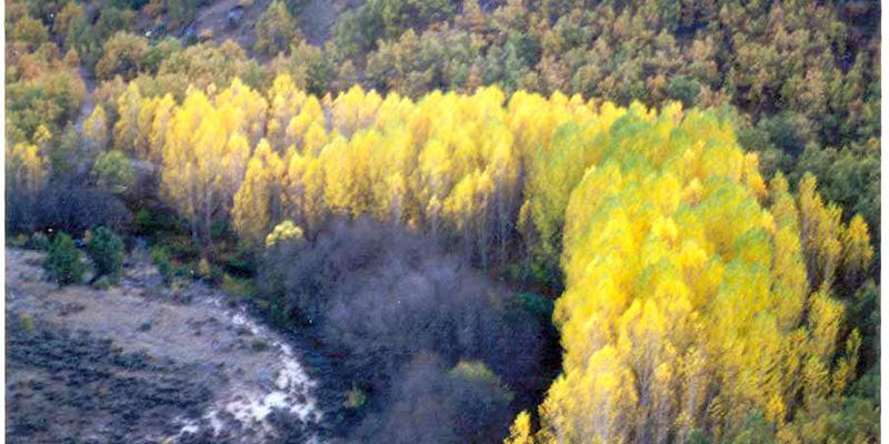 El alcalde de Brihuega y su concejal de Medioambiente tratan con el director del Agua el proyecto de la depuradora