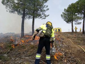 El Gobierno de Castilla-La Mancha adopta medidas excepcionales para prevenir incendios en el medio natural