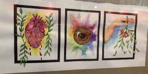 Gran éxito de la Exposición colectiva de la Asociación de Pintores de Sigüenza