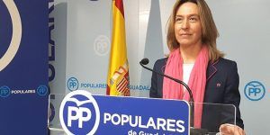 Guarinos asegura que las acusaciones contra ella han sido desestimadas por Diputación y achaca esta noticia a la precampaña electoral