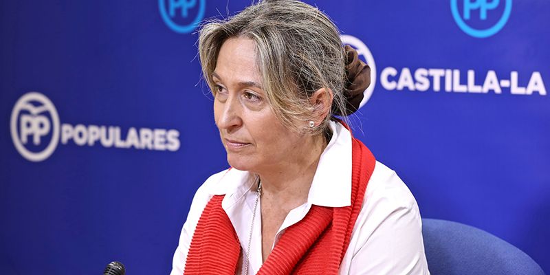 Guarinos denuncia que Ciudadanos vuelve a sumar con el PSOE para imponer el “rodillo parlamentario” y limitar el número de iniciativas del PP