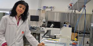 La profesora de la UCLM María Luz Sánchez Silva, distinguida con una beca Leonardo de la Fundación BBVA