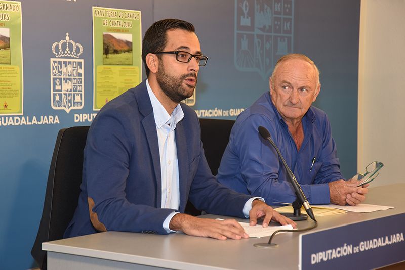 La XXXV Feria de Ganado de Cantalojas aspira a reunir más de 3.000 visitantes y unas 400 cabezas de ganado