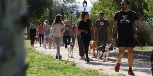 Mucha participación en la primera Feria de Adopción de Mascotas de Alovera
