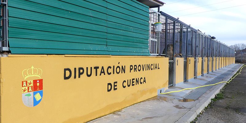 ‘Cuenca, En Marcha!’ lamenta que la Diputación Provincial del PSOE siga eludiendo la gestión directa del albergue de animales