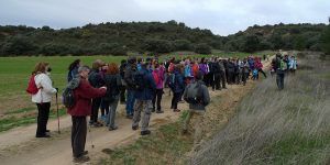 Campiñeando recorre la ruta de senderismo entre Villaseca de Uceda y Viñuelas
