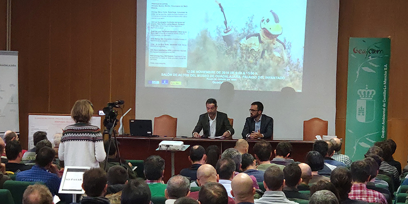 El Gobierno de Castilla-La Mancha apuesta por dinamizar la gestión y el uso sostenible de nuestras masas forestales