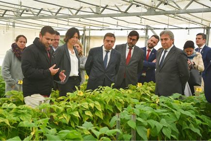 El Ministro de Agricultura, Pesca y Alimentación visita el centro de investigación y desarrollo de BASF en Utrera