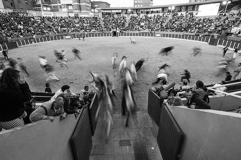 El XXIX Concurso de Fotográfico Ferias y Fiestas de Guadalajara 2019 ya tiene ganadores