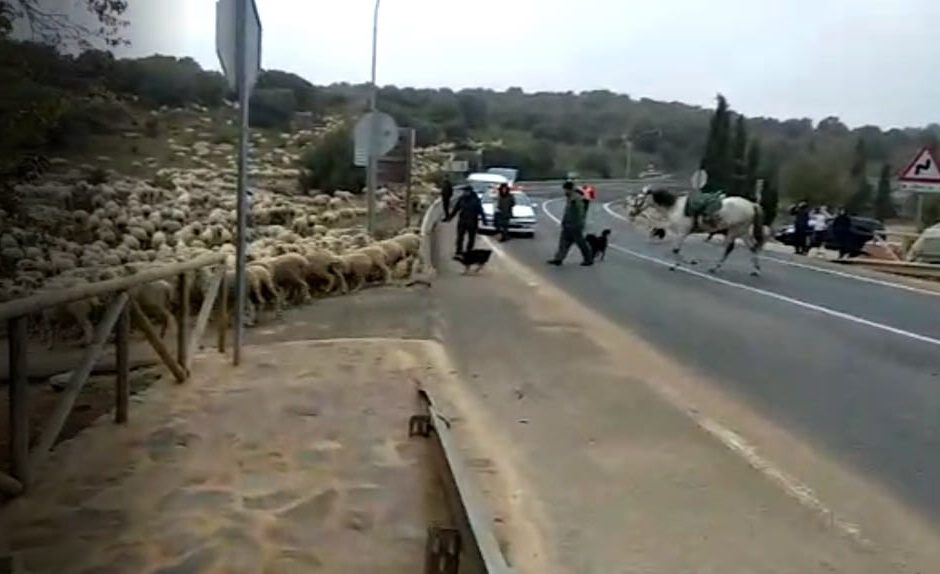 Trashumancia. Grati Usero (Las Majadas). Escarchacas impresionantes y manta de agua en las Lagunas de Ruidera. 1 gfrati saliendo de rui e1574079357562