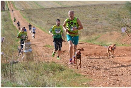 Gran inicio en Villanueva de la Torre del Circuito Provincial de Canicross